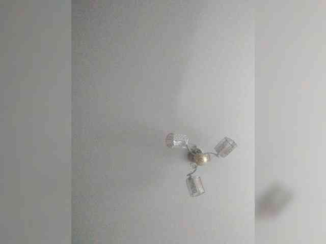 TPAX-B-KucKy webcam