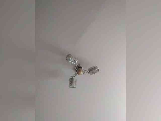 TPAX-B-KucKy webcam