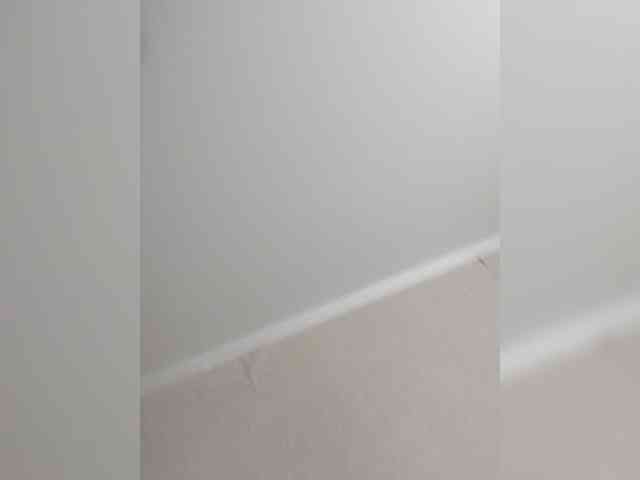 TPAX-B-KucKy webcam