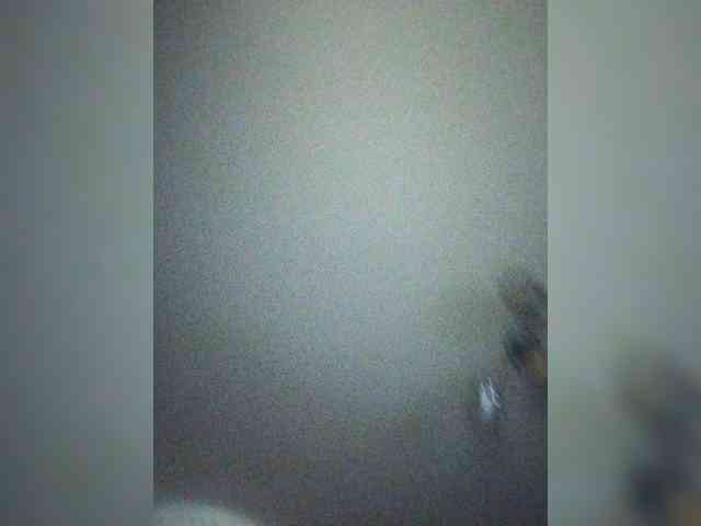 TPAX-B-KucKy webcam