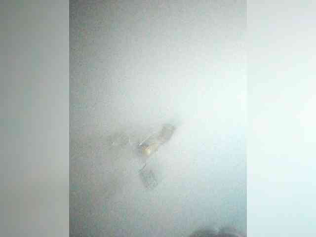 TPAX-B-KucKy webcam