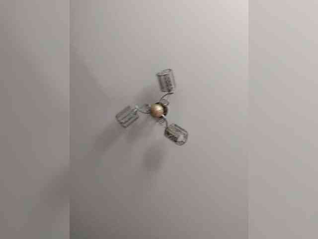 TPAX-B-KucKy webcam