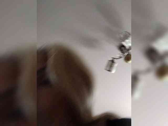 TPAX-B-KucKy webcam