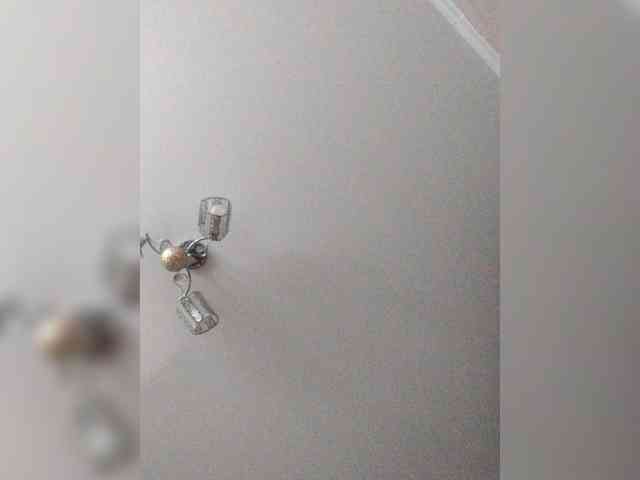 TPAX-B-KucKy webcam