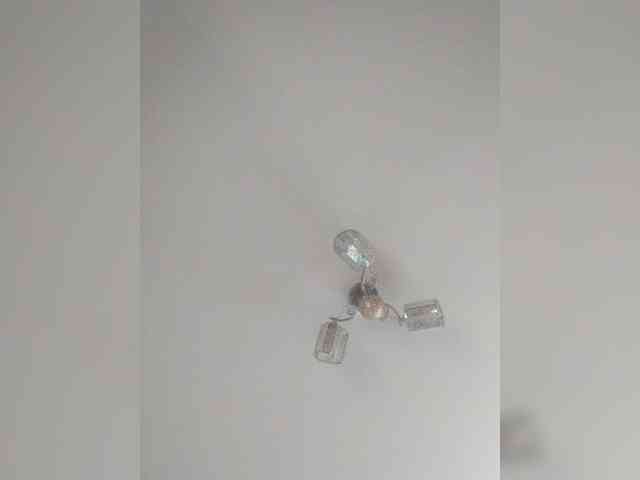 TPAX-B-KucKy webcam