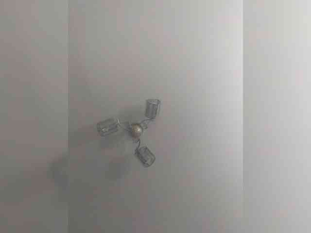 TPAX-B-KucKy webcam
