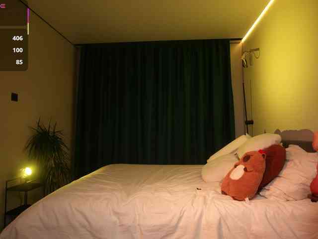 bogduzy webcam