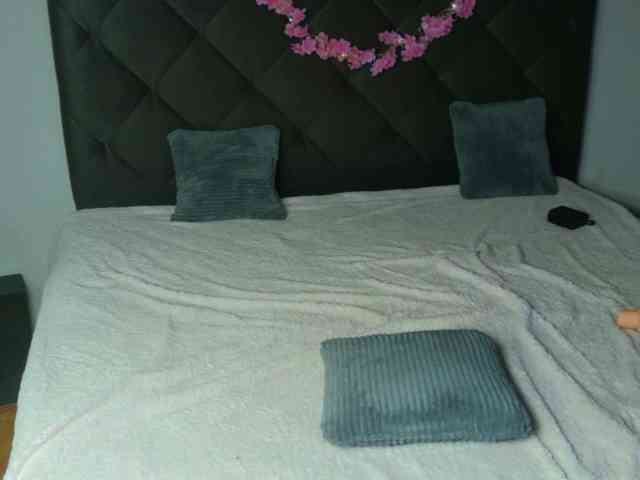 EvaSilk webcam