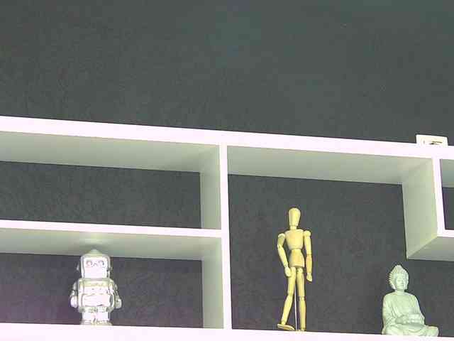 TaniaKarevina webcam