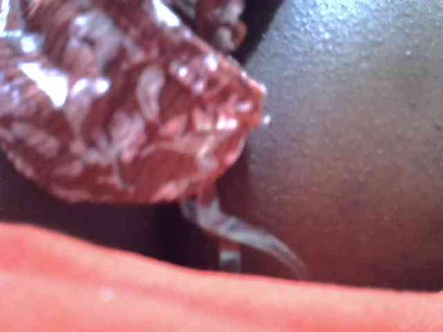 sweetval1