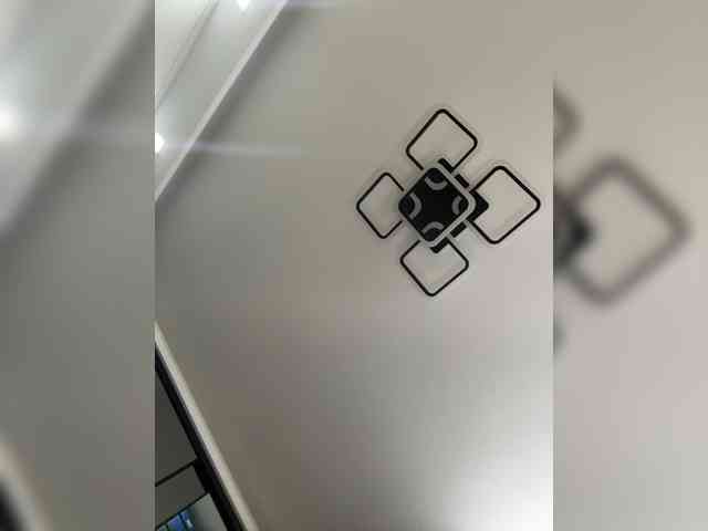 lolave webcam