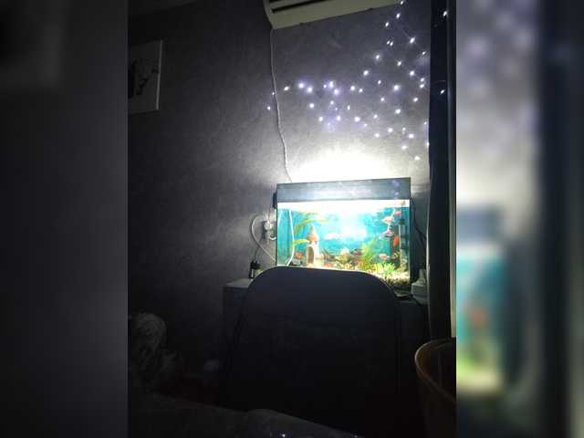 Karina-15 live cam on BongaCams