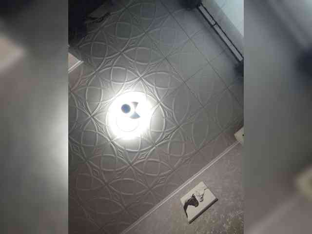 Karina-15 webcam