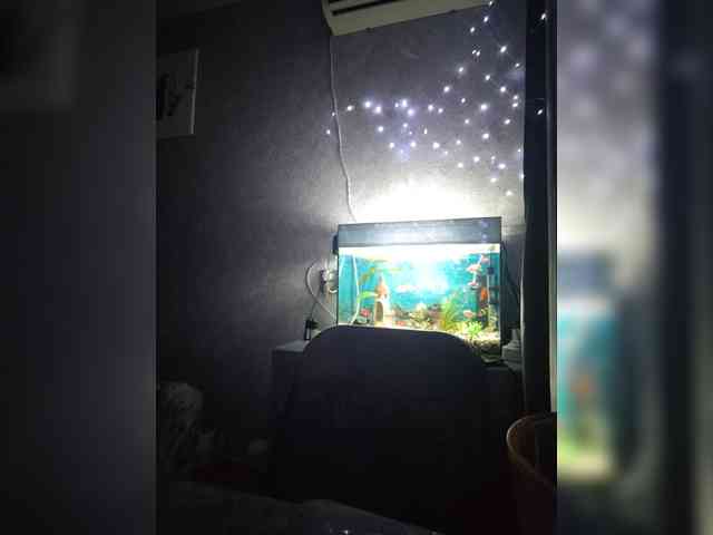 Karina-15 webcam