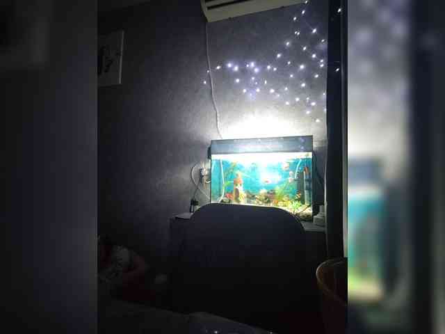 Karina-15 webcam