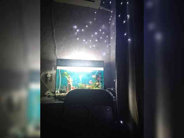 Karina-15 webcam