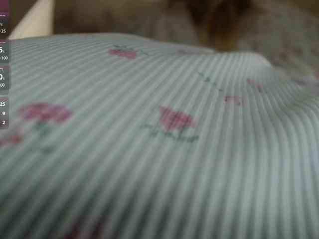 Angel1258 webcam