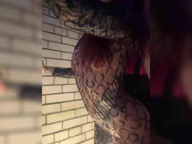 Sapiosexualka webcam