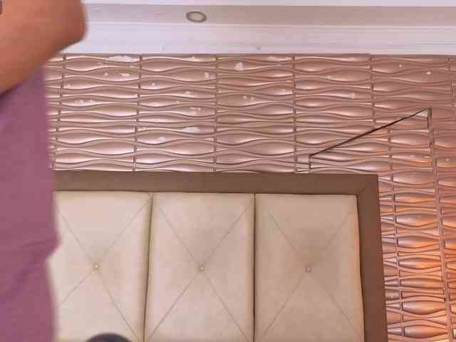 Miladiosa webcam