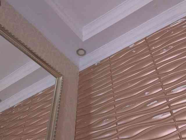 Miladiosa webcam