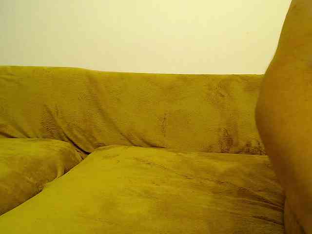AlbertBelle webcam