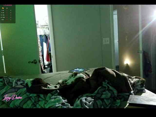 IvoryDesire_ webcam