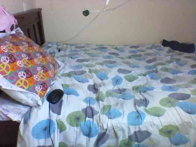Laisley webcam