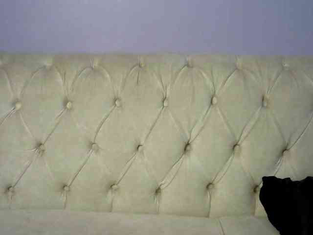 Prettycarl257-1 webcam