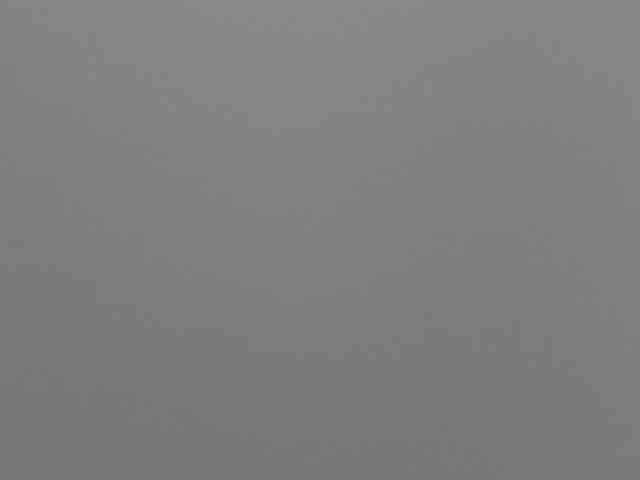 Rafaelleee webcam