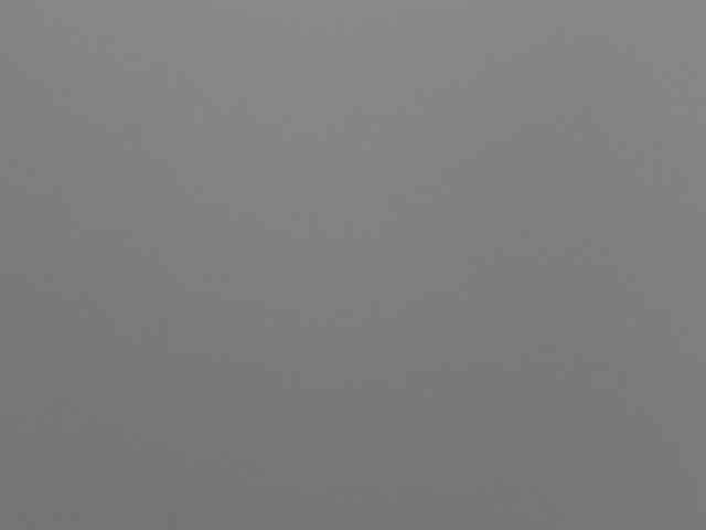 Rafaelleee webcam