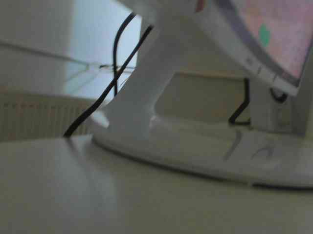 Rafaelleee webcam