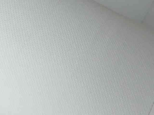 Rafaelleee webcam