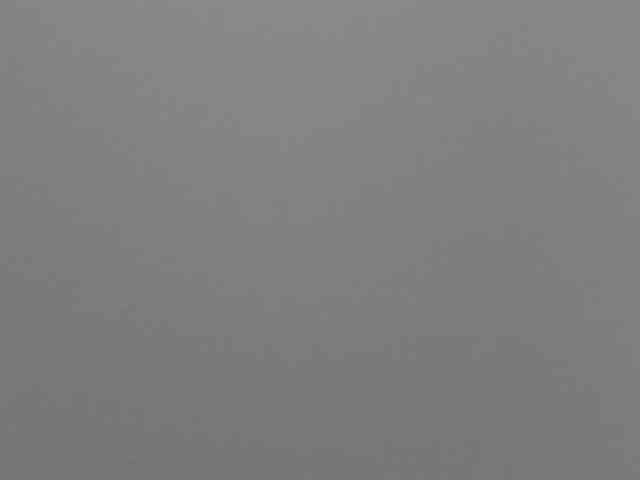 Rafaelleee webcam