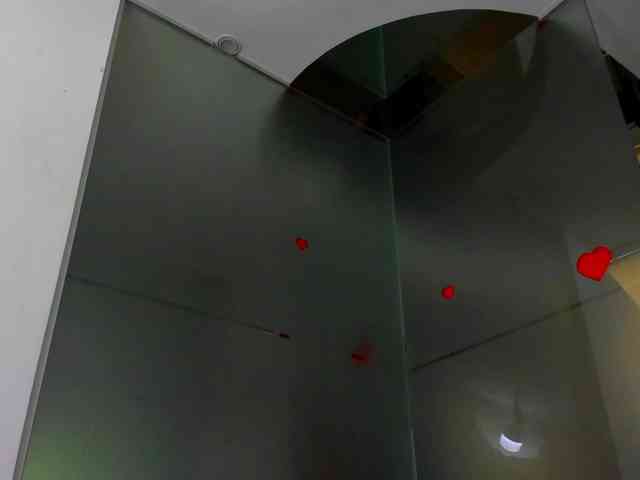 Rafaelleee webcam