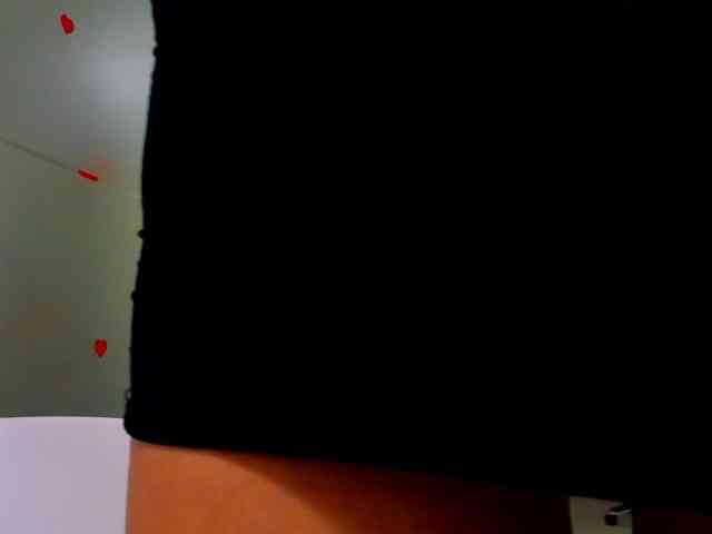 Rafaelleee webcam