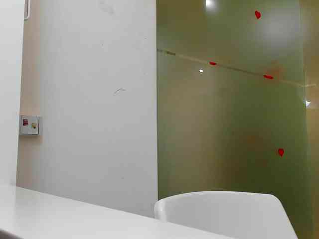 Rafaelleee webcam