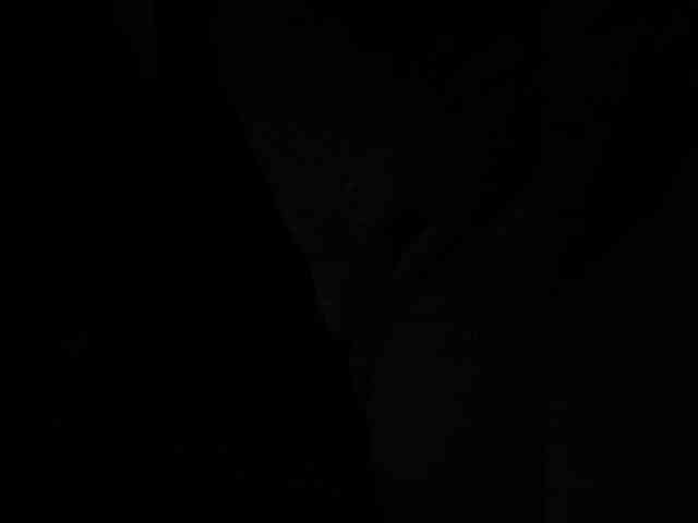 MANDASEX webcam