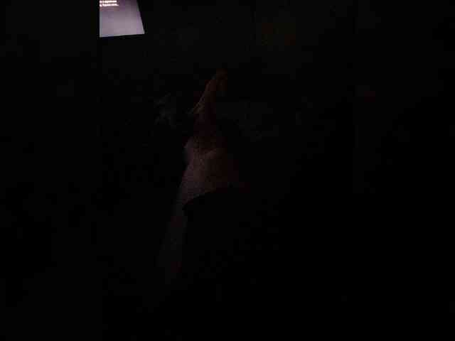 MANDASEX webcam