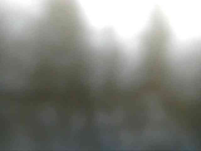 CorneliaSweet webcam