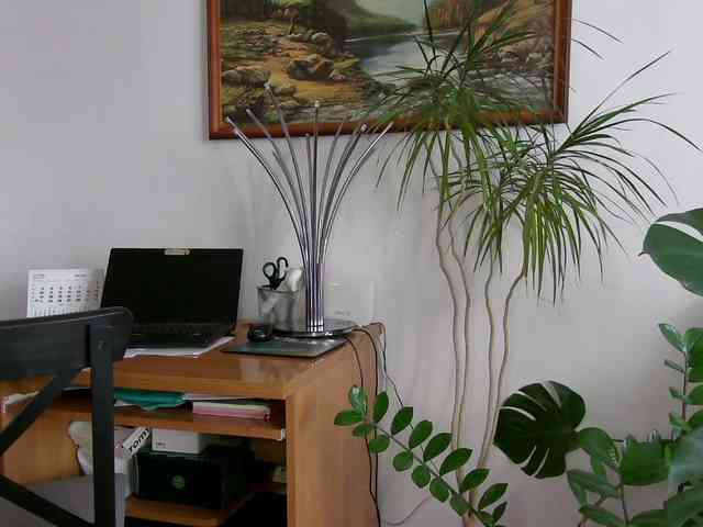CorneliaSweet webcam