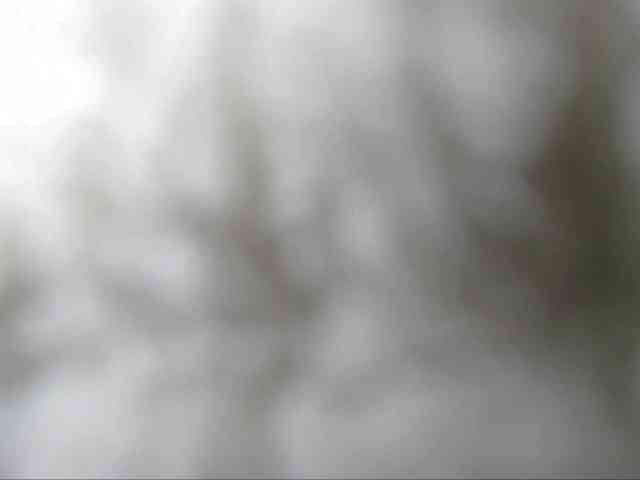 CorneliaSweet webcam