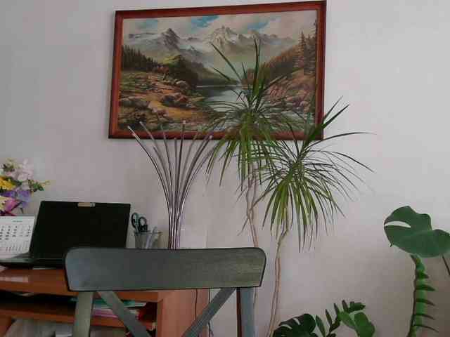 CorneliaSweet webcam