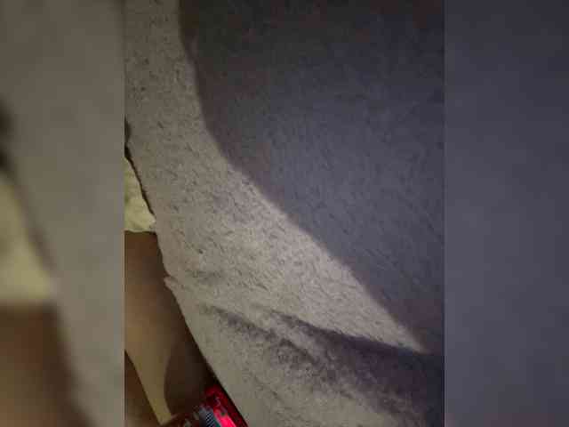 Dn8888 webcam