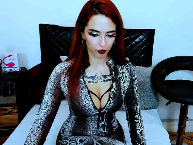 Model: PollyStar