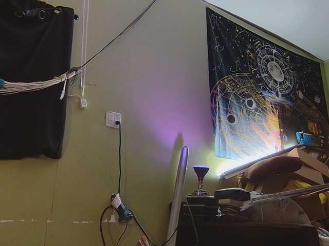 high-lavie