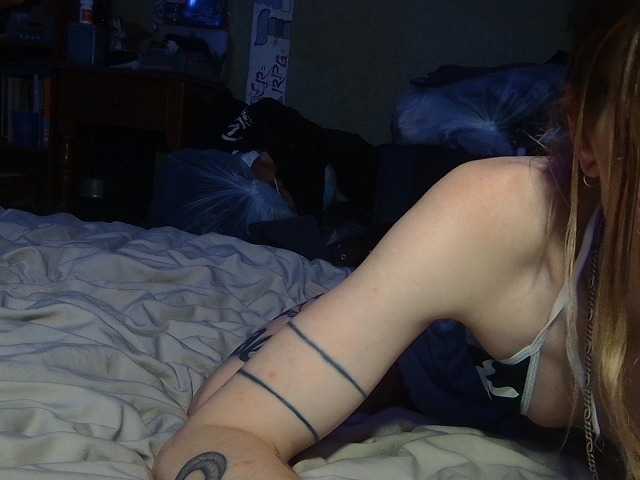 high-lavie live cam on BongaCams