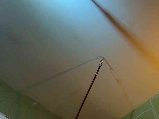 high-lavie webcam