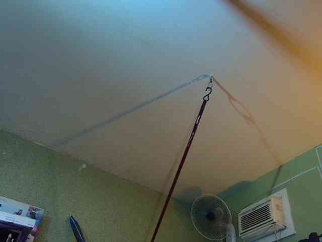 high-lavie webcam