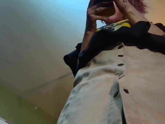 high-lavie webcam
