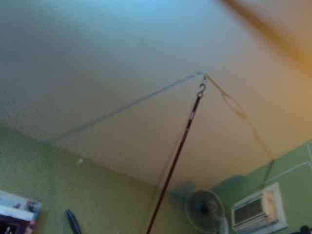 high-lavie webcam